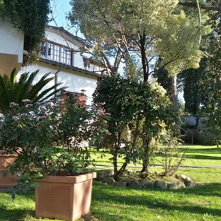 Il Platano Di Giulio *