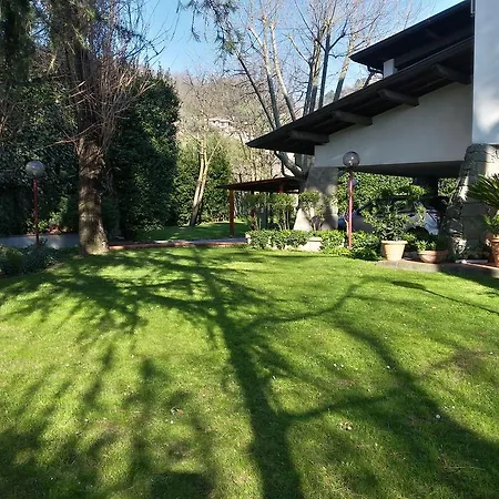 Il Platano Di Giulio Carrara