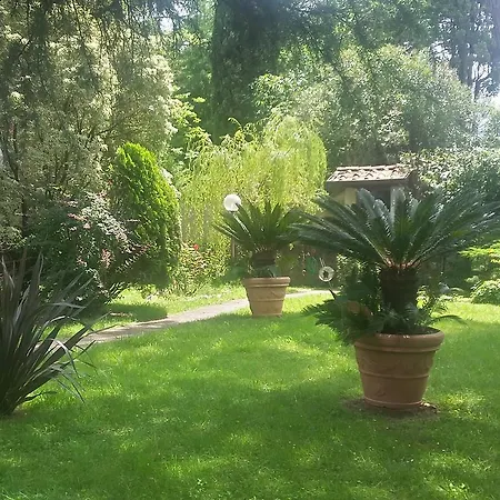 Oda ve Kahvaltı Il Platano Di Giulio Carrara
