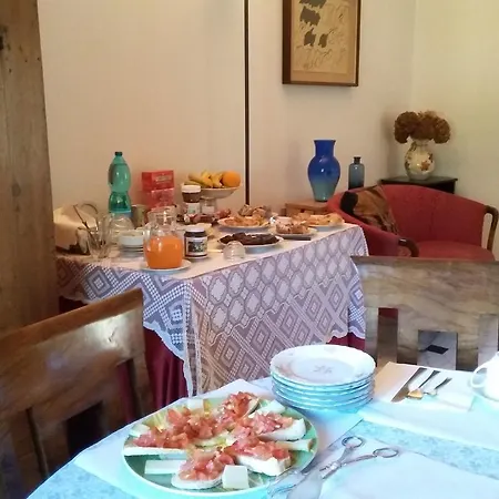 Il Platano Di Giulio Carrara
