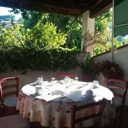 Il Platano Di Giulio Carrara
