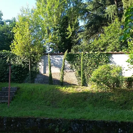 Il Platano Di Giulio